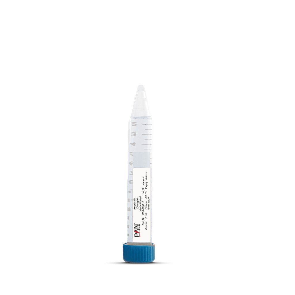 Ampicillin, 100 mg/ml, 10 ml