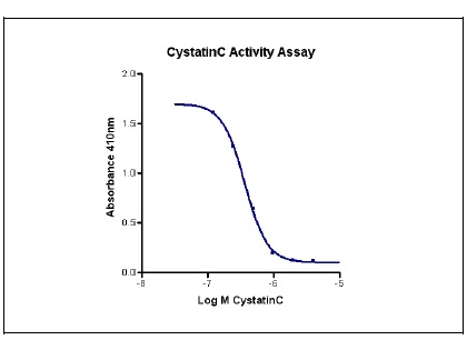 [HZ-1211-10UG] HumanKine® recombinant human Cystatin C protein