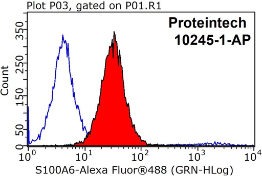 [10245-1-AP-20UL] S100A6 Polyclonal antibody