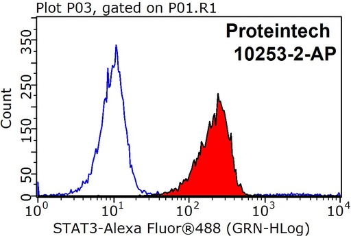 [10253-2-AP-20UL] STAT3 Polyclonal antibody