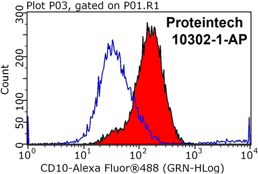 [10302-1-AP-150UL] MME,CD10 Polyclonal antibody