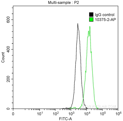 [10375-2-AP-20UL] MMP9 (N-terminal) Polyclonal antibody
