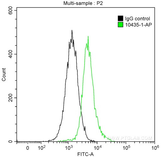 [10435-1-AP-150UL] BAD Polyclonal antibody