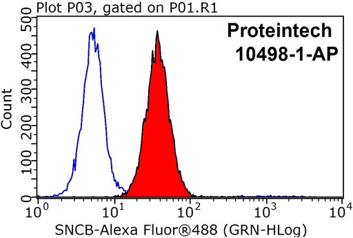 [10498-1-AP-20UL] SNCB Polyclonal antibody