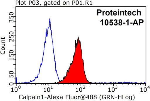 [10538-1-AP-20UL] Calpain 1 Polyclonal antibody
