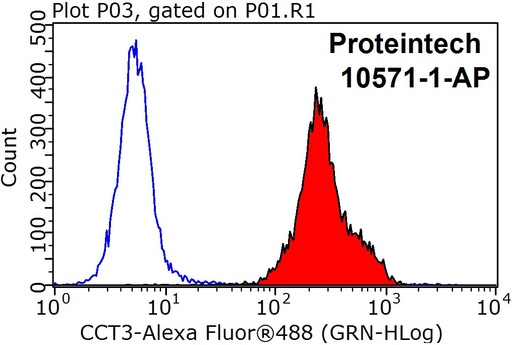 [10571-1-AP-20UL] CCT3 Polyclonal antibody