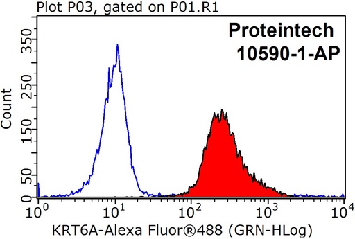 [10590-1-AP-150UL] Cytokeratin 6A Polyclonal antibody