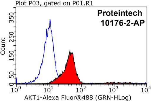 [10176-2-AP-150UL] AKT Polyclonal antibody