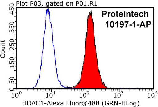 [10197-1-AP-150UL] HDAC1 Polyclonal antibody