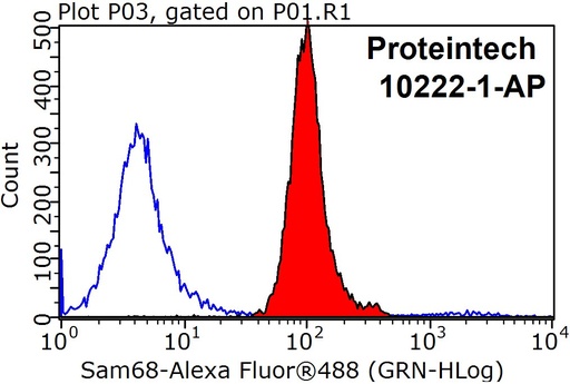 [10222-1-AP-150UL] Sam68 Polyclonal antibody