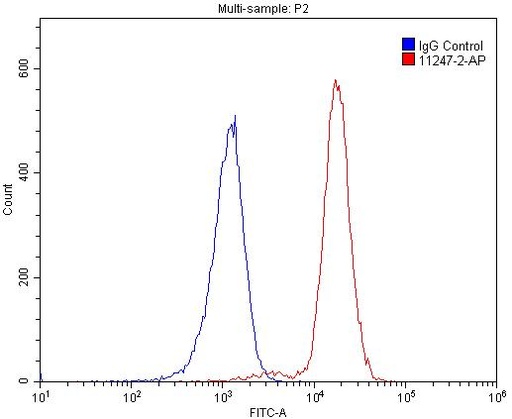 [11247-2-AP-150UL] MUM1/IRF4 Polyclonal antibody