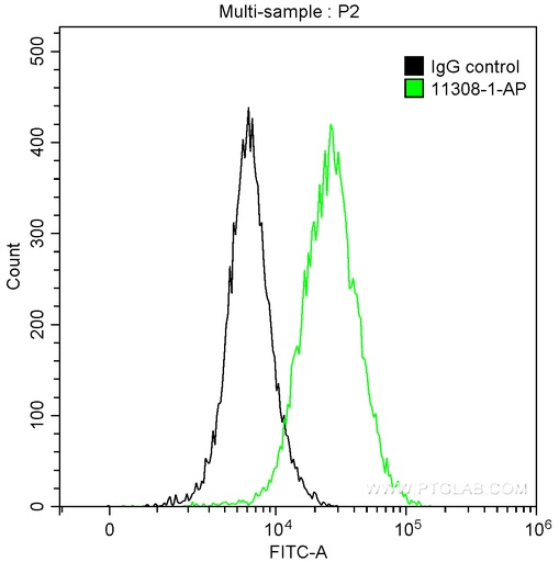[11308-1-AP-150UL] GOLGA2/GM130 Polyclonal antibody