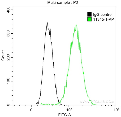 [11345-1-AP-20UL] NSD3 Polyclonal antibody
