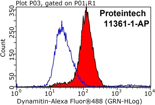 [11361-1-AP-150UL] Dynamitin (1-401 AA) Polyclonal antibody