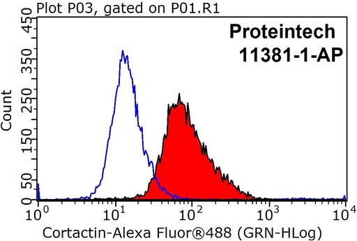 [11381-1-AP-20UL] Cortactin Polyclonal antibody