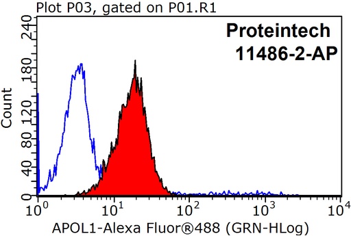 [11486-2-AP-20UL] APOL1 Polyclonal antibody