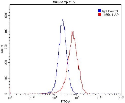 [11554-1-AP-20UL] Cyclin E1 Polyclonal antibody