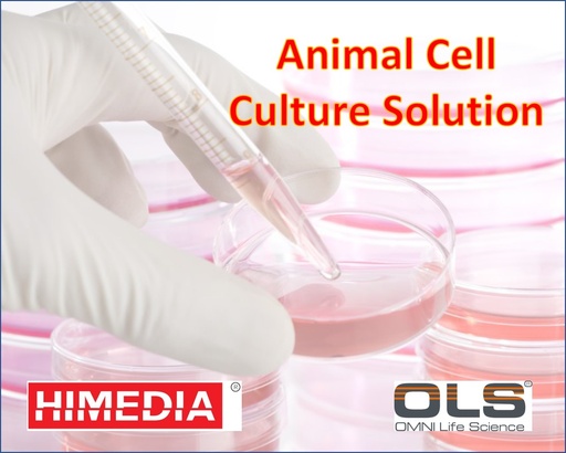 RPMI-1640 w/ L-Glutamine w/o Folic acid and Sodium bicarbonate