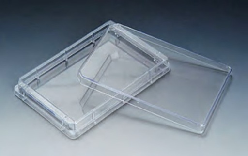 Tray Plate