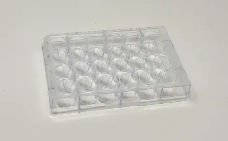 [2800112] CEROplate 24 well plate (F-bottom), ultra- low attachment (24x1 plates)