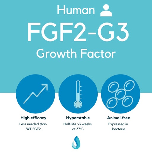 FGF2-G3 (human) growth factor, LSR-101