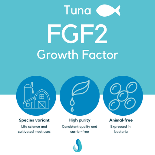 FGF2 (tuna) growth factor, LSR-120